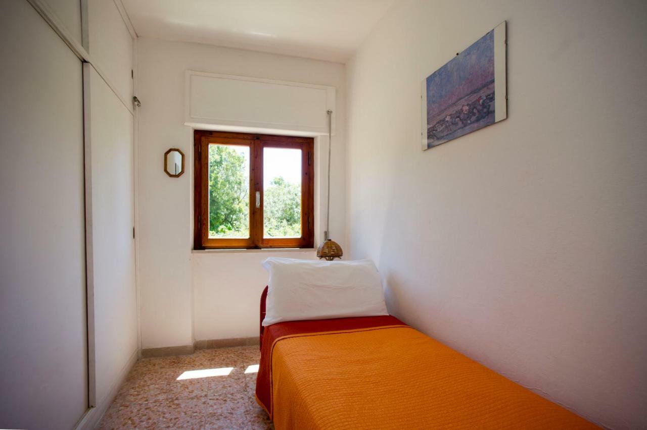 Apartment Le Mimose *